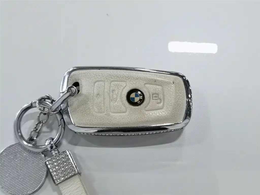 BMW 3 Series 2016 320Li Progressive фото 19