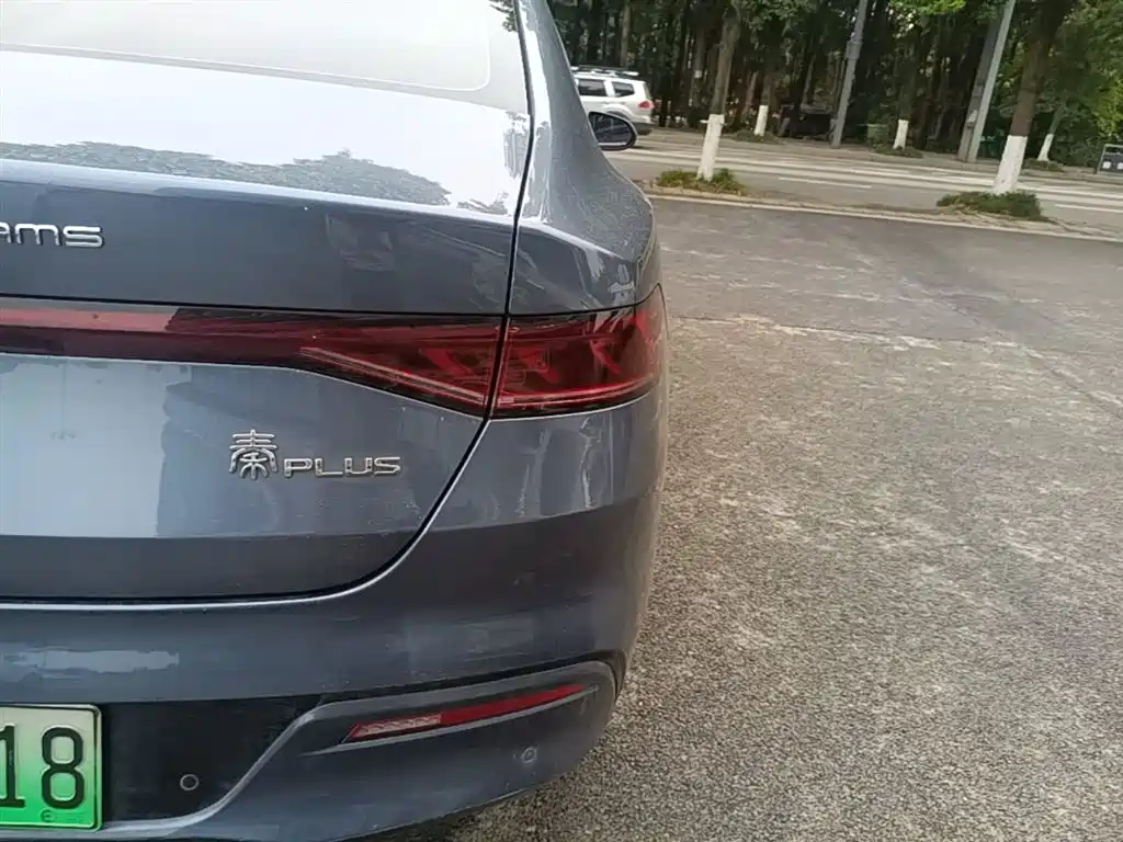 BYD Qin PLUS 2024 Glory Edition DM-i 55KM Leading фото 8