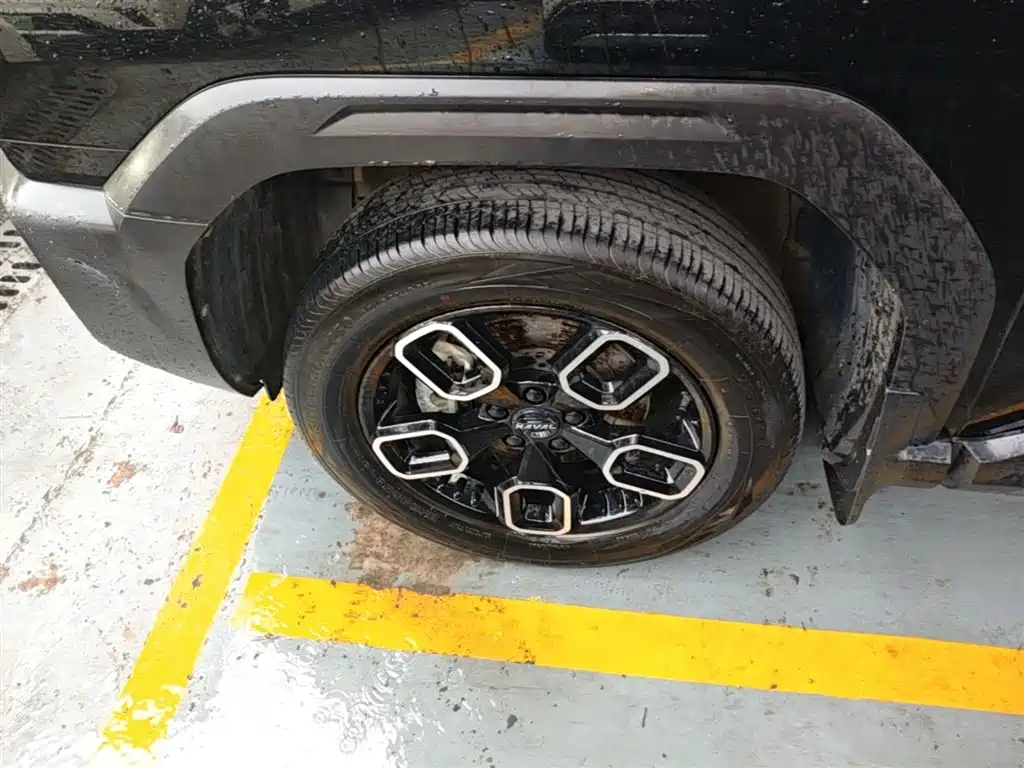 Haval Cool Dog 2022 1.5T DCT 2WD Trend Edition фото 23