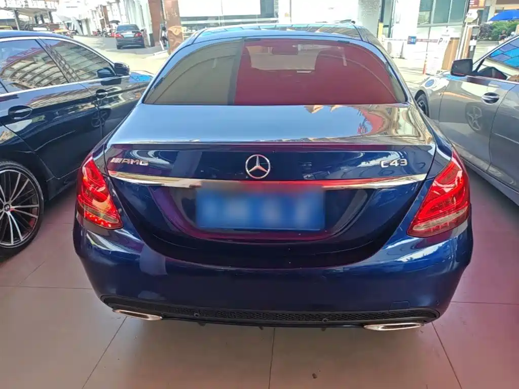 Mercedes-Benz C-Class 2018 C 200 L Sport Achievement Special Edition фото 6