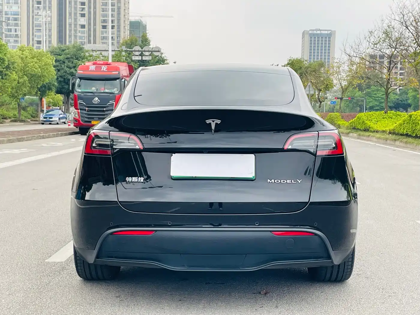 TESLA MODEL Y