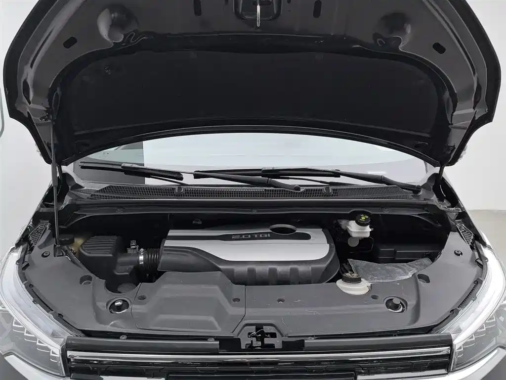 SAIC MAXUS CHASE G20