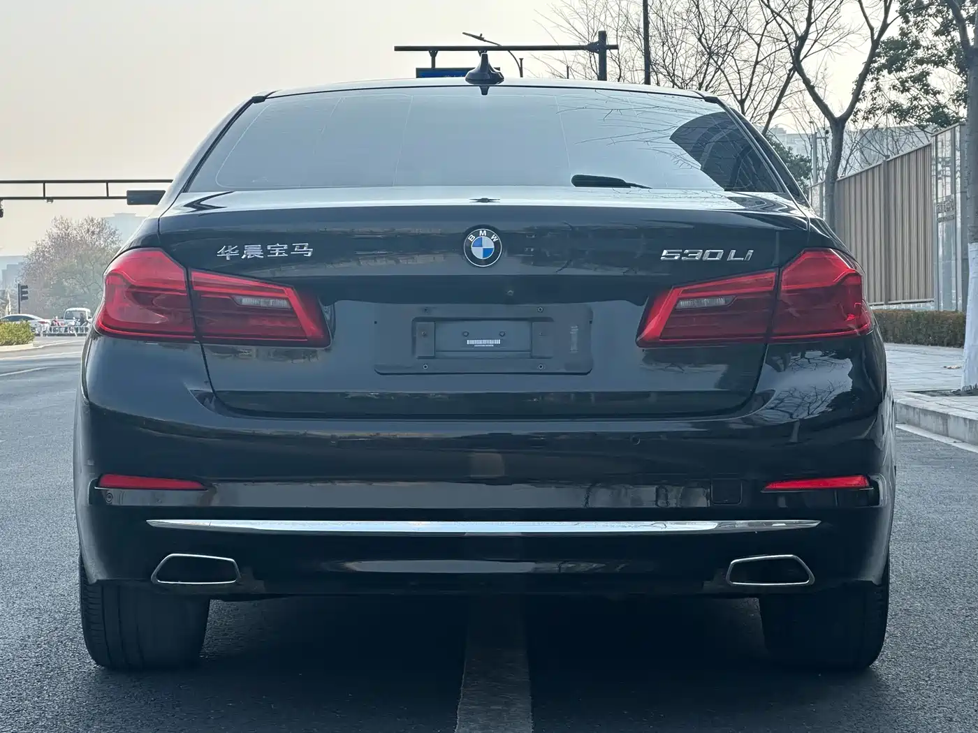 BMW 5 Series 2020 530Li Leading Luxury Package фото 5