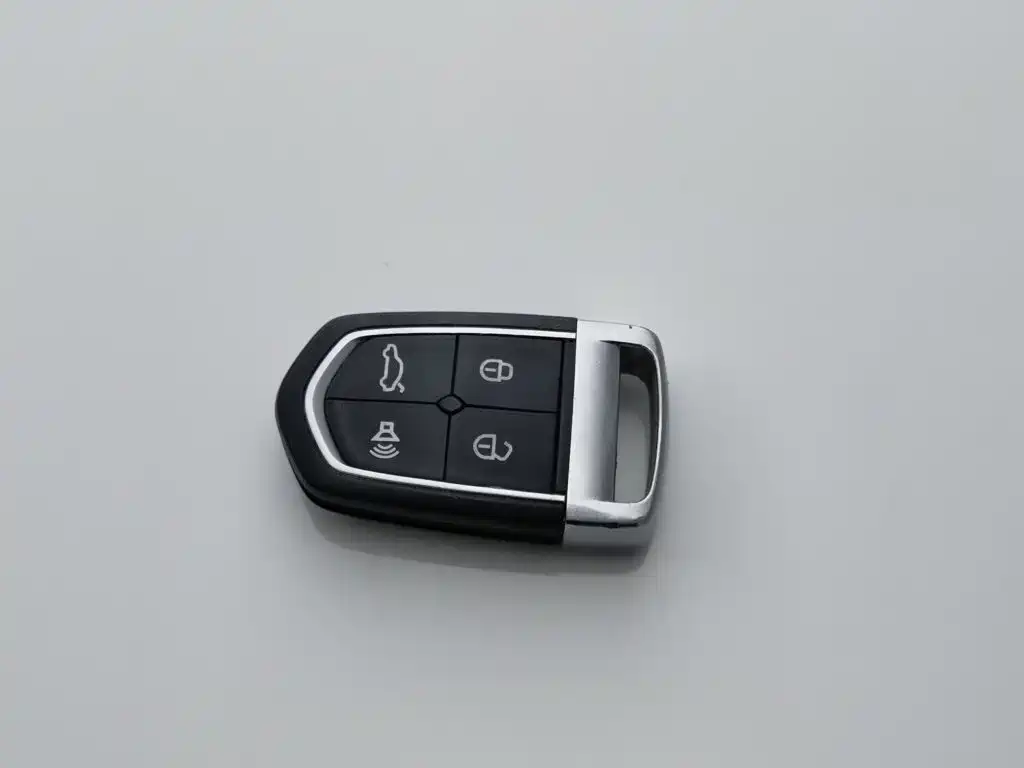 صورة 19 - Borgward BX5