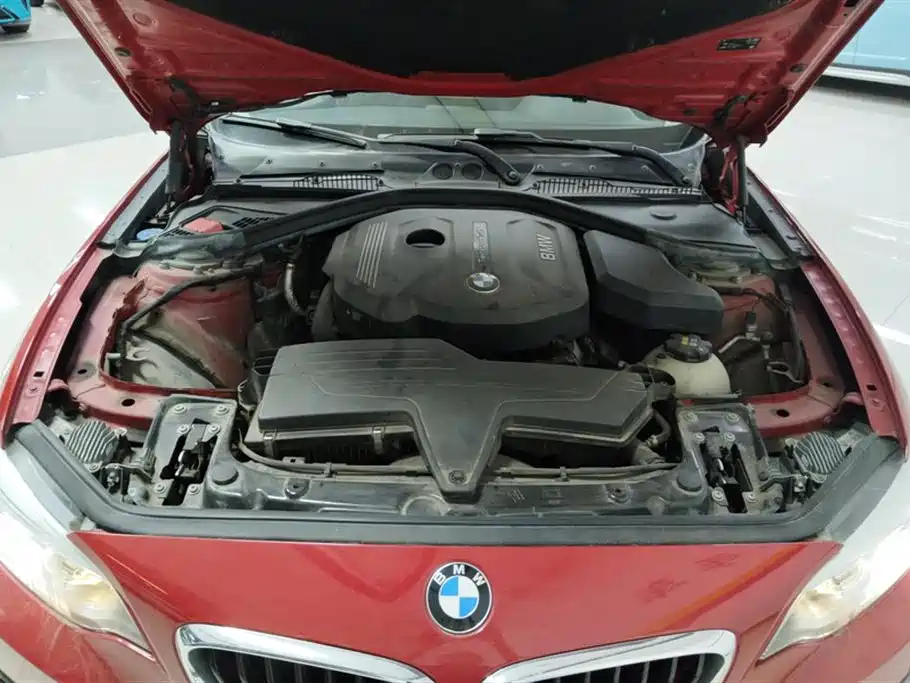 BMW 2 Series (Import) 2018 220i Sport Design Package фото 10