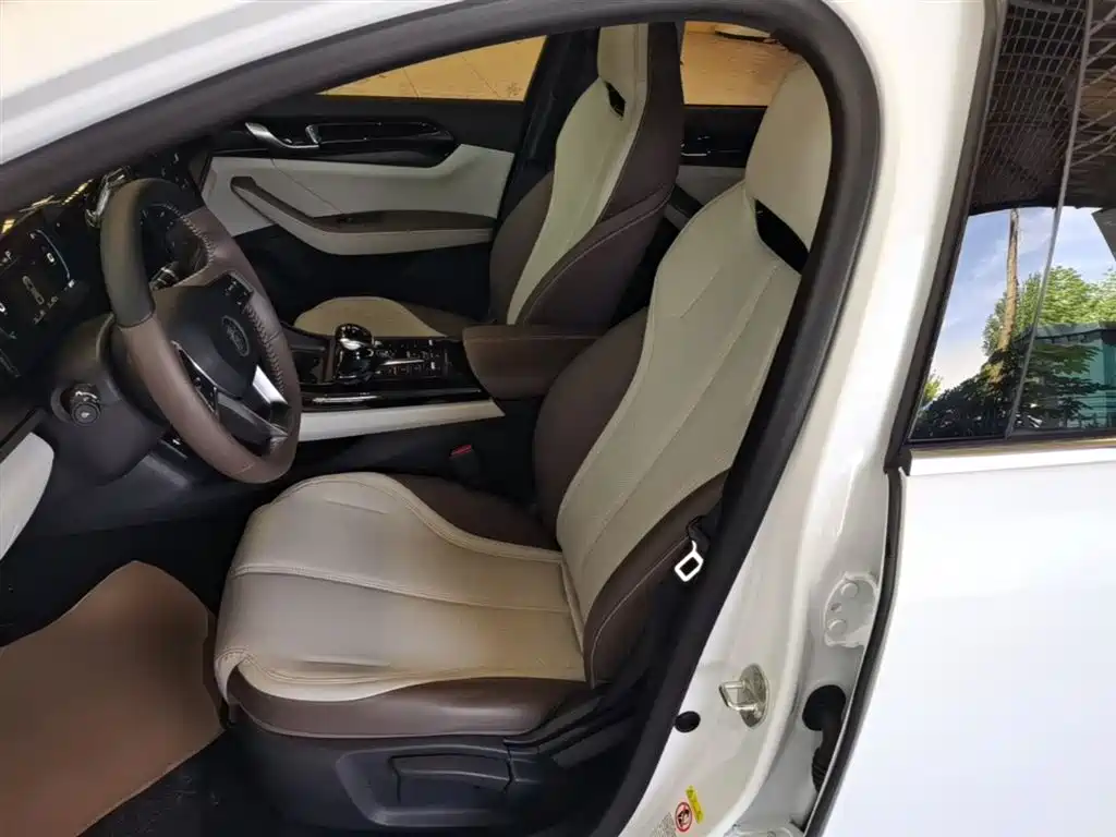 BYD Qin PLUS 2024 Glory Edition DM-i 55KM Leading фото 15