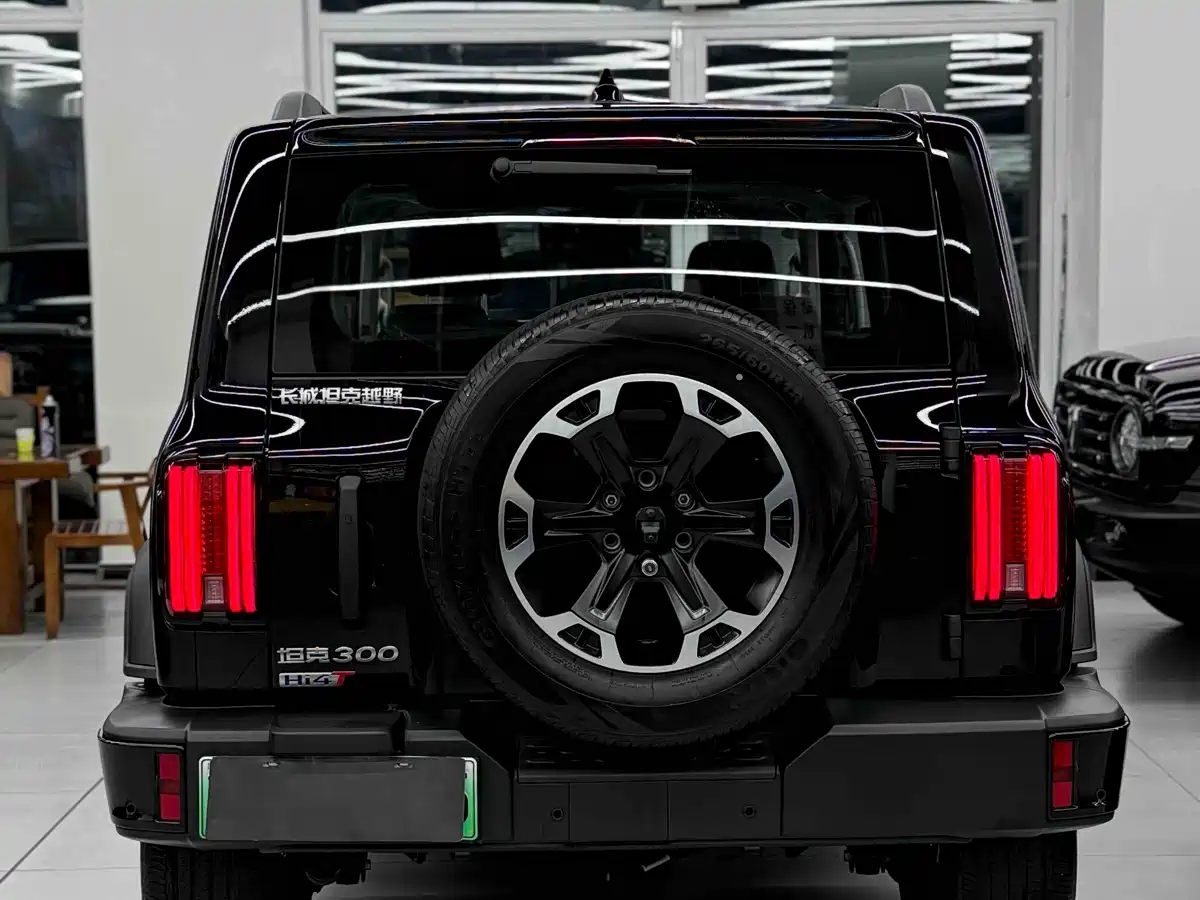 Tank 300 New Energy 2025 Hi4-T 36.7kWh Edition фото 11