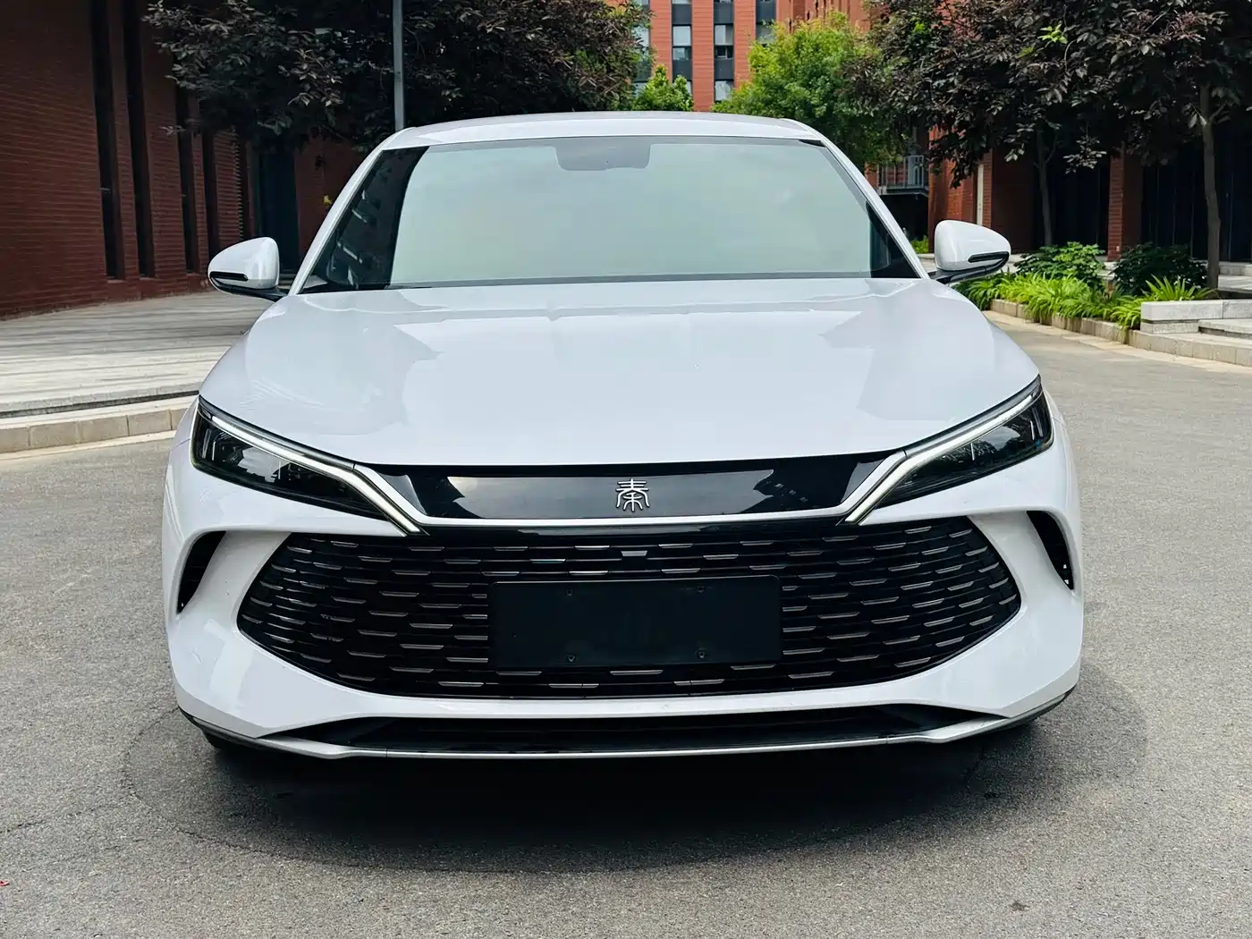 BYD Qin L 2024 DM-i 80KM Leading Edition фото 2