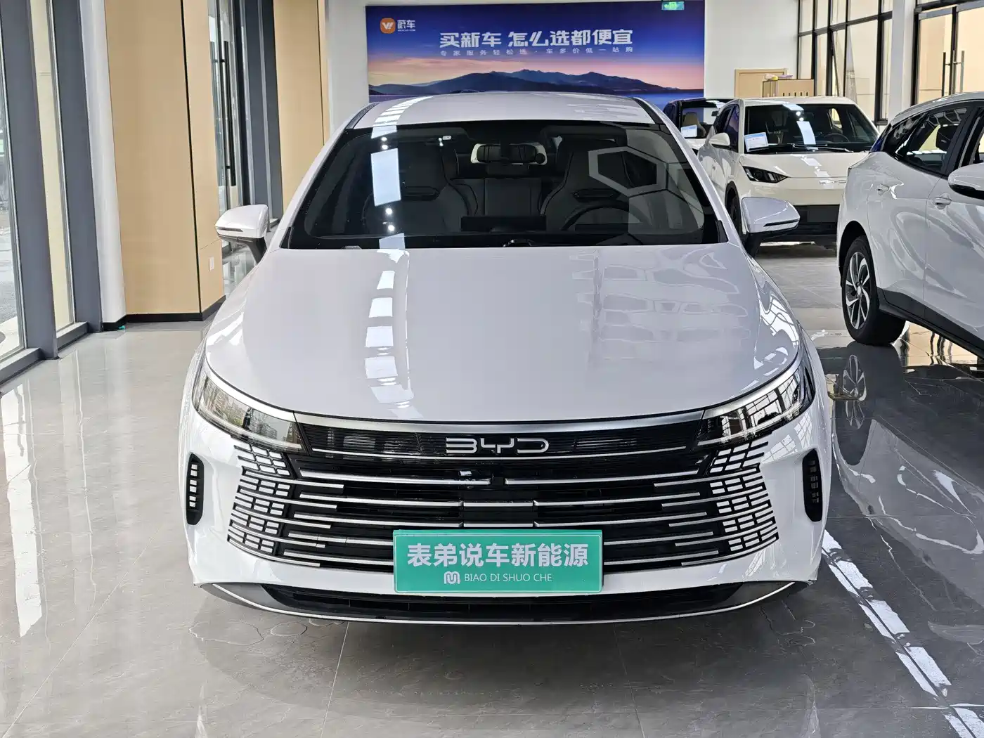 BYD DESTROYER 05