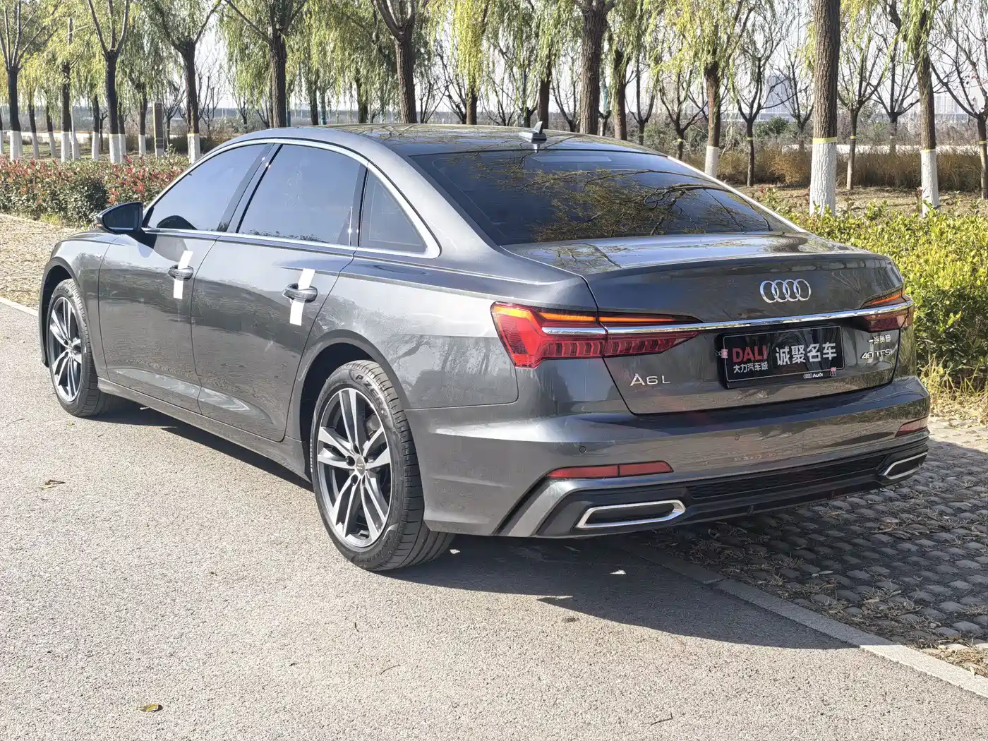 Audi A6L 2020 40 TFSI Luxury Dynamic фото 9