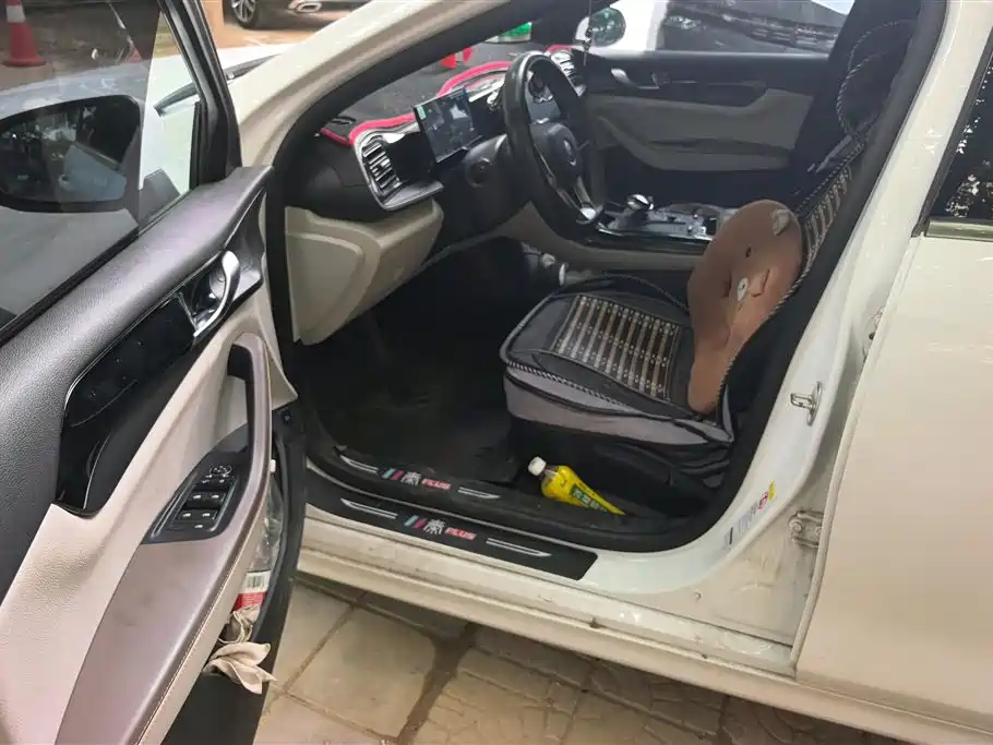BYD Qin PLUS 2023 Champion Edition DM-i 55KM Leading фото 9