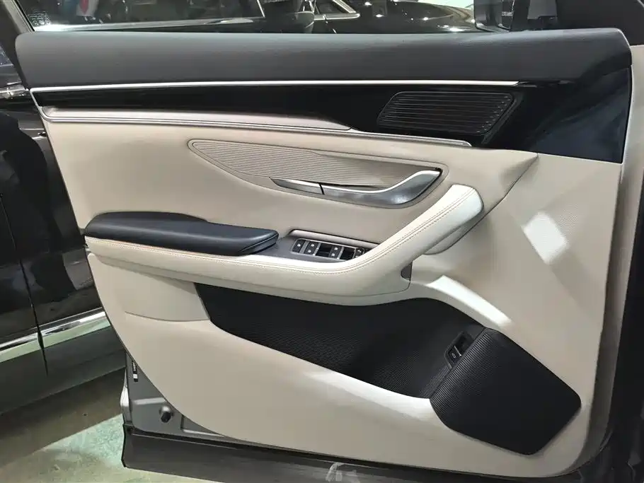 BYD Song PLUS PHEV 2023 Champion Edition DM-i 110KM Flagship фото 7
