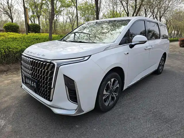 SAIC MAXUS CHASE G90