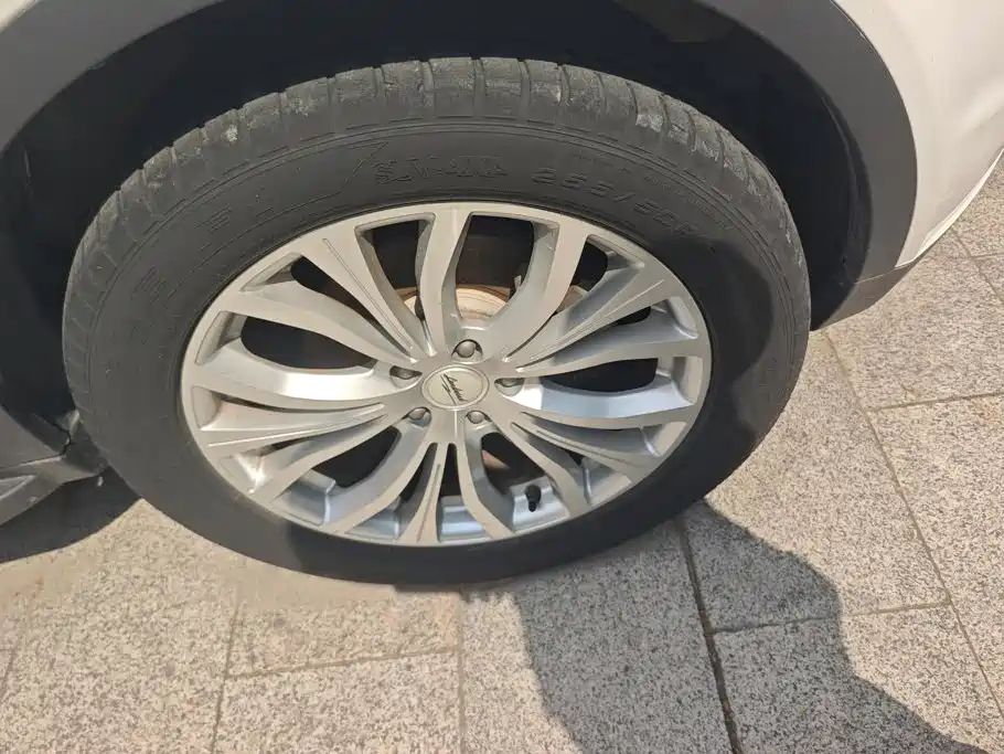 Фото 6 - Landwind X7
