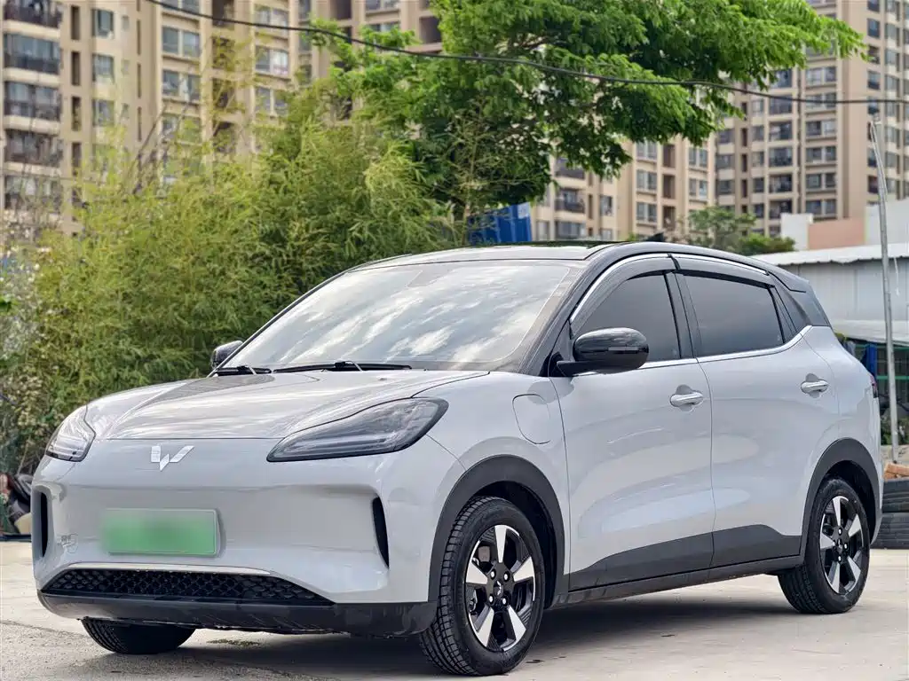 Фото 25 - Wuling Motors Wuling Binguo PLUS
