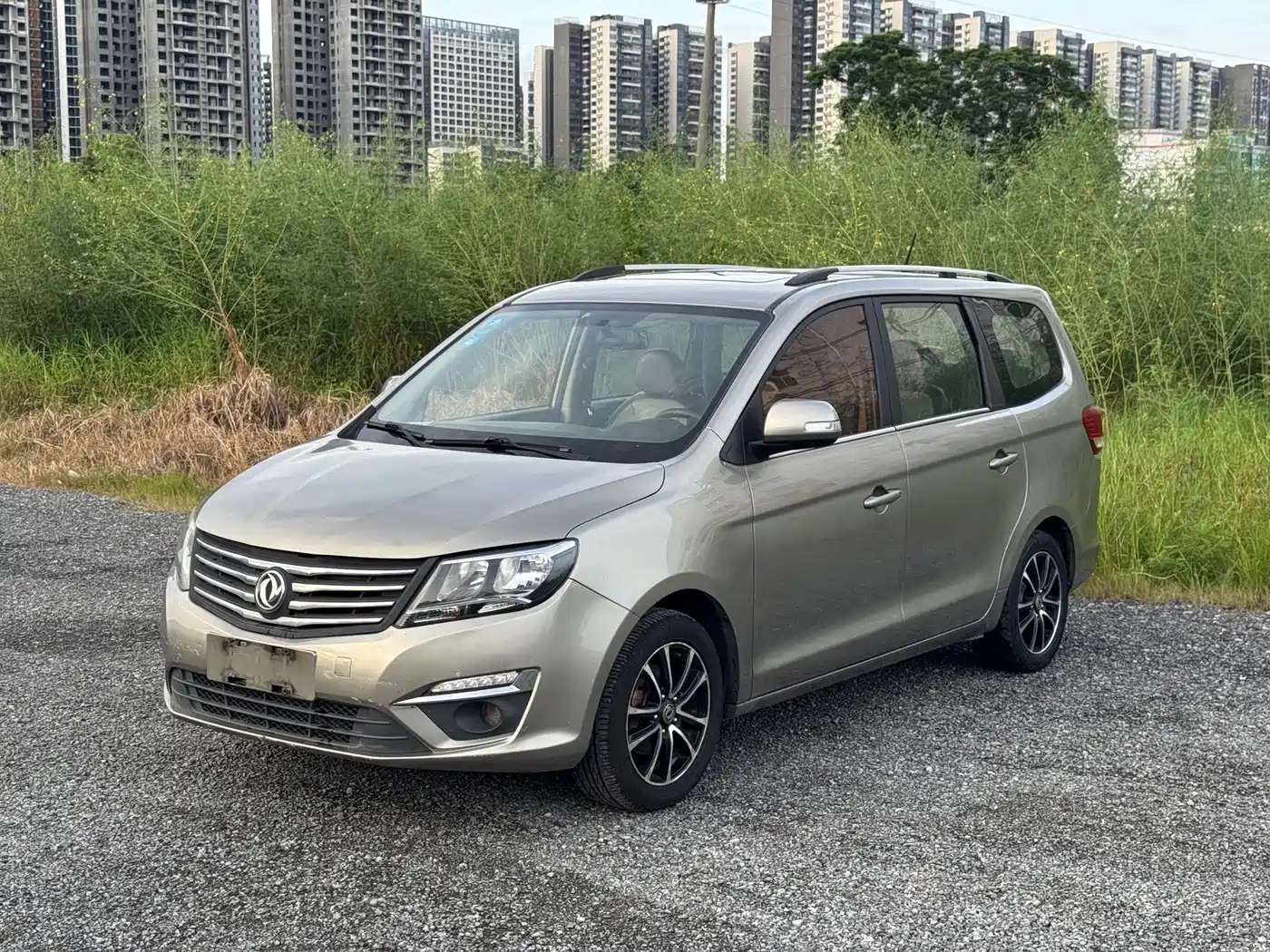 Dongfeng Fengxing Fengxing S500 2017 2017 1.5L Manual Luxury