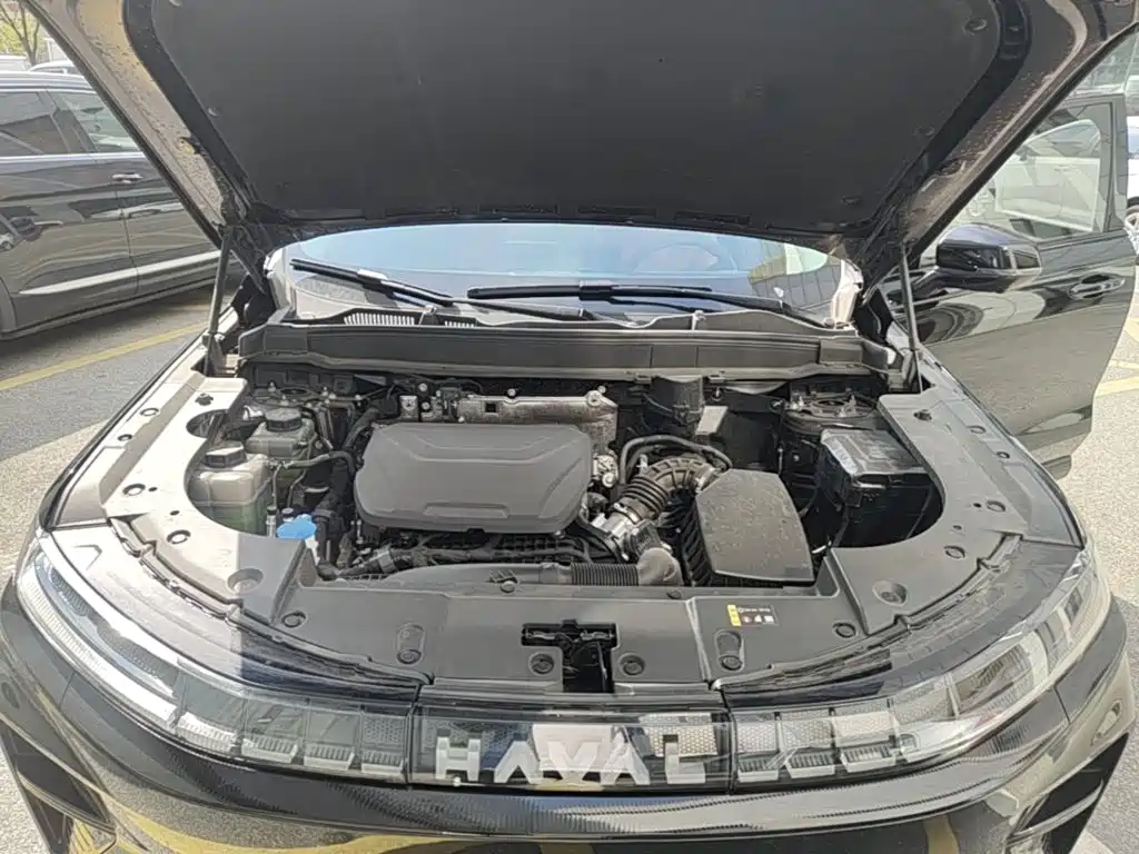 Photo 20 - Haval Xiaolong MAX