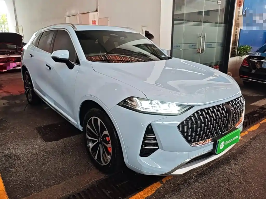 2021 WEY Mocha
