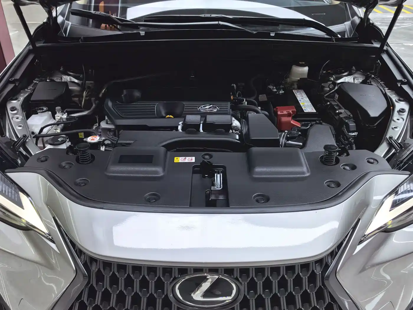Lexus NX 2024 2024 260 FWD Joy Creation Edition