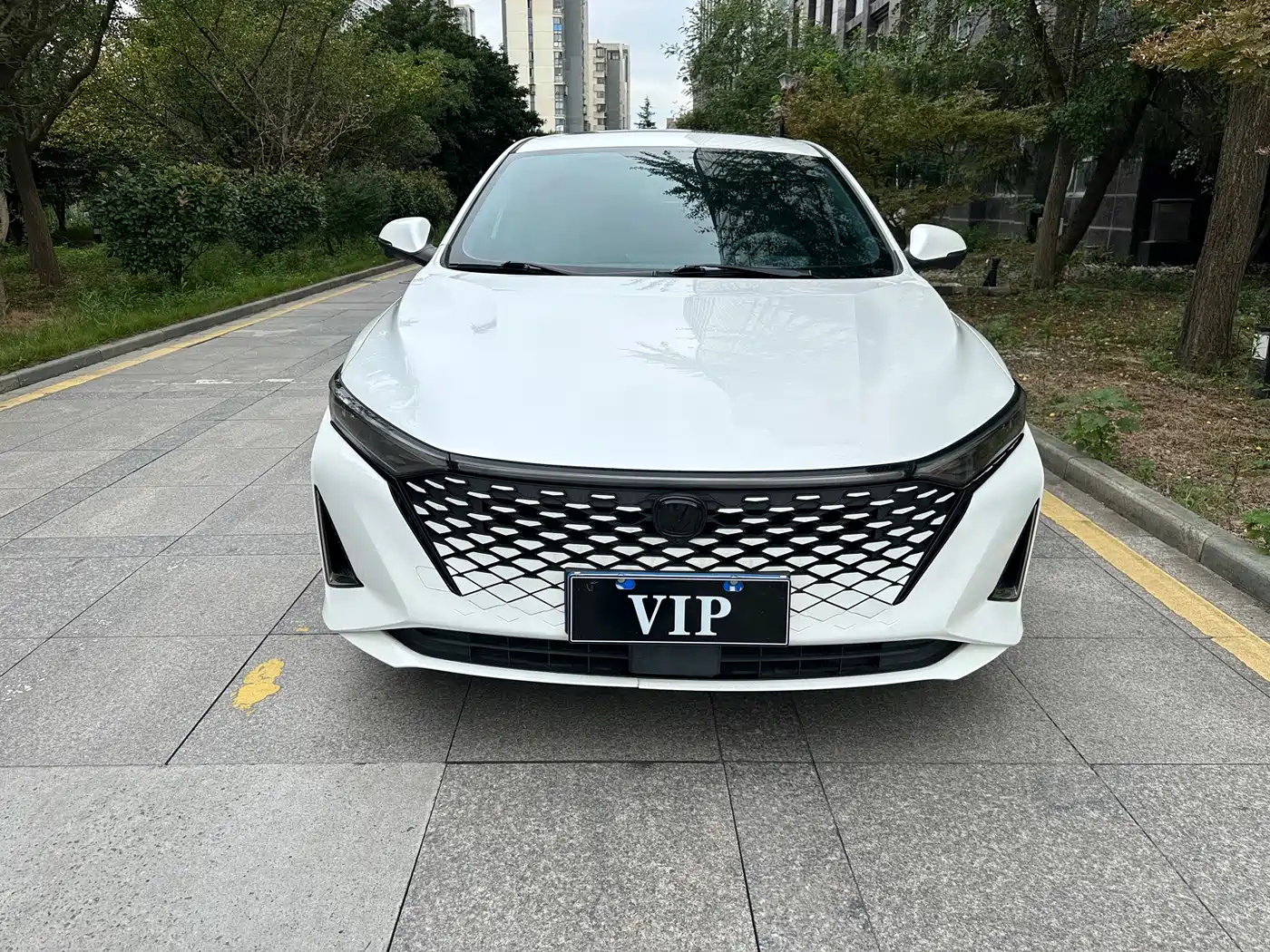 Changan Ruicheng PLUS 2023 2023 1.5T DCT Luxury