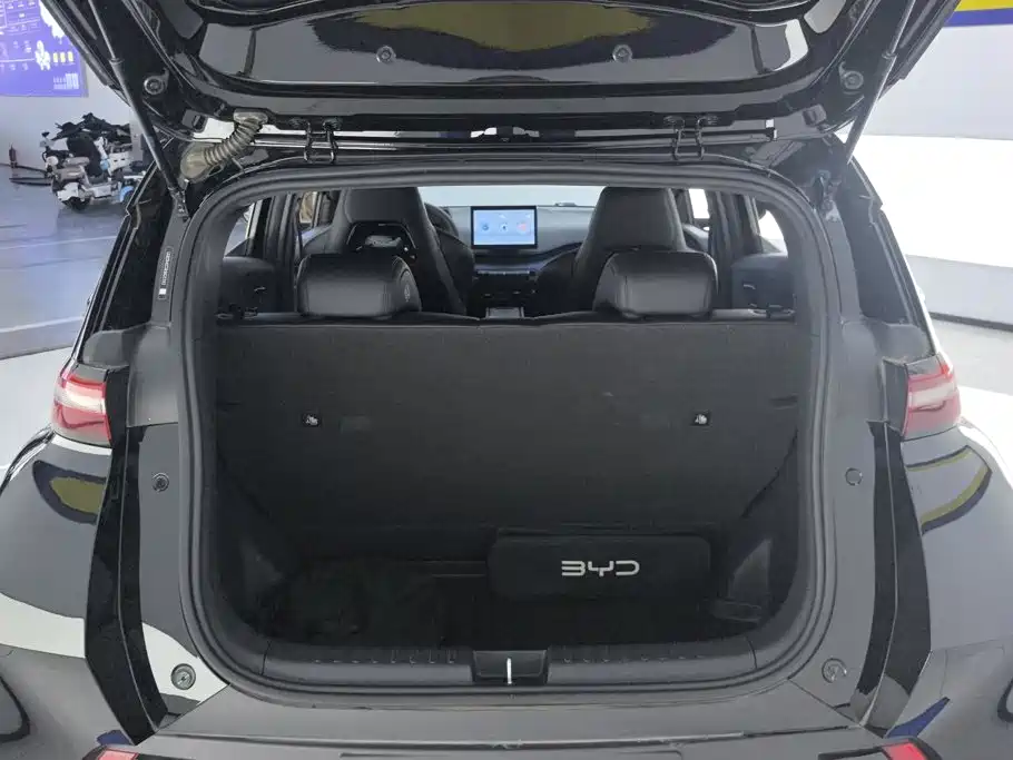  BYD Seagull 2025 305km Vitality 4