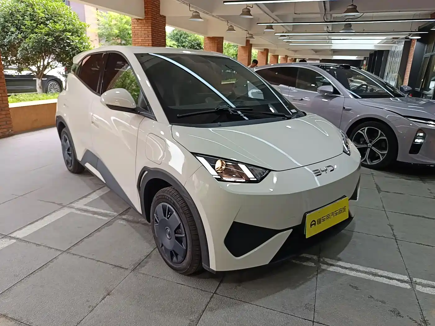BYD Seagull 2026 2025 Smart Drive Edition 305km Vitality Version
