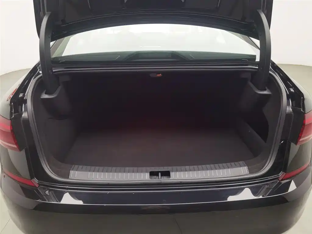 VOLKSWAGEN PASSAT NEW ENERGY