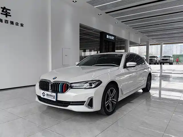 BMW 5 SERIES