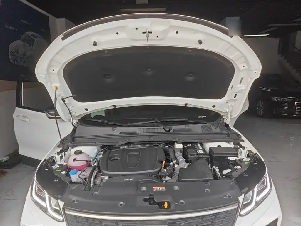 Фото 20 - Geely Coolray