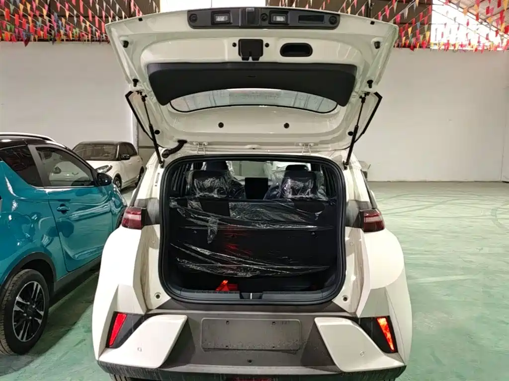 BYD Seagull 2025 Smart Drive Edition 305km Vitality Version фото 19