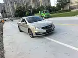 Фото 3 - Geely Borui