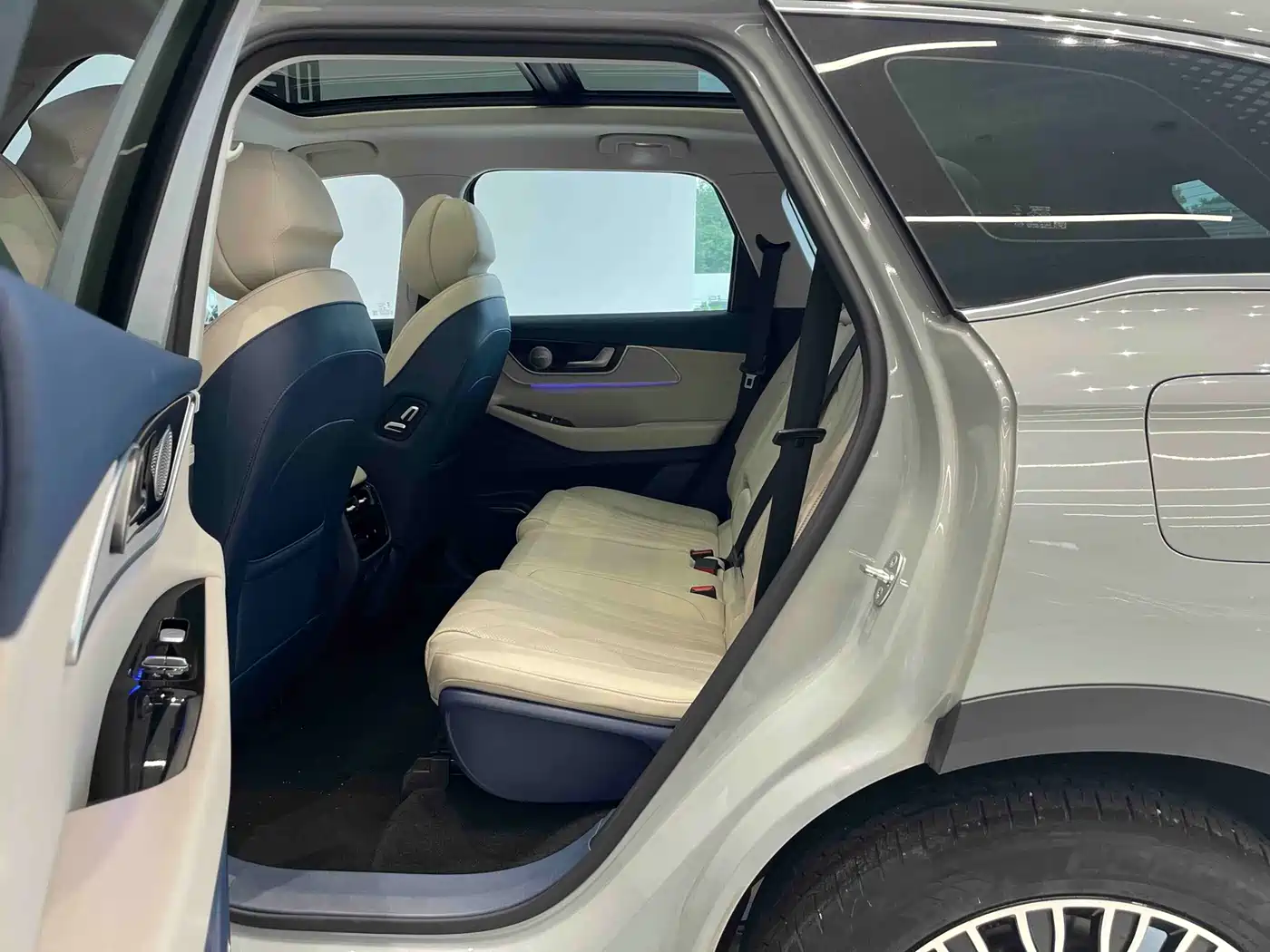 Chery Fengyun Fengyun T9 2024 2024 120 Long Range Flagship 7-seater LFP