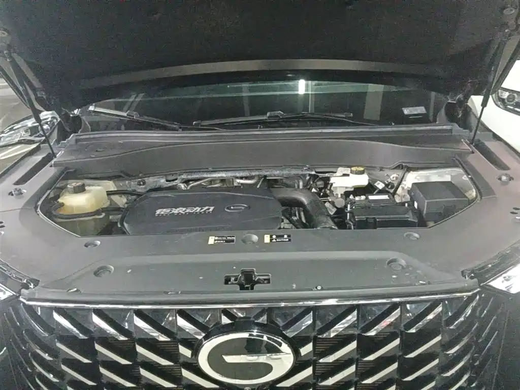 GAC Trumpchi Trumpchi GS8 2024 Navigator Series 2.0TGDI 2WD Luxury Smart Connect Edition фото 20