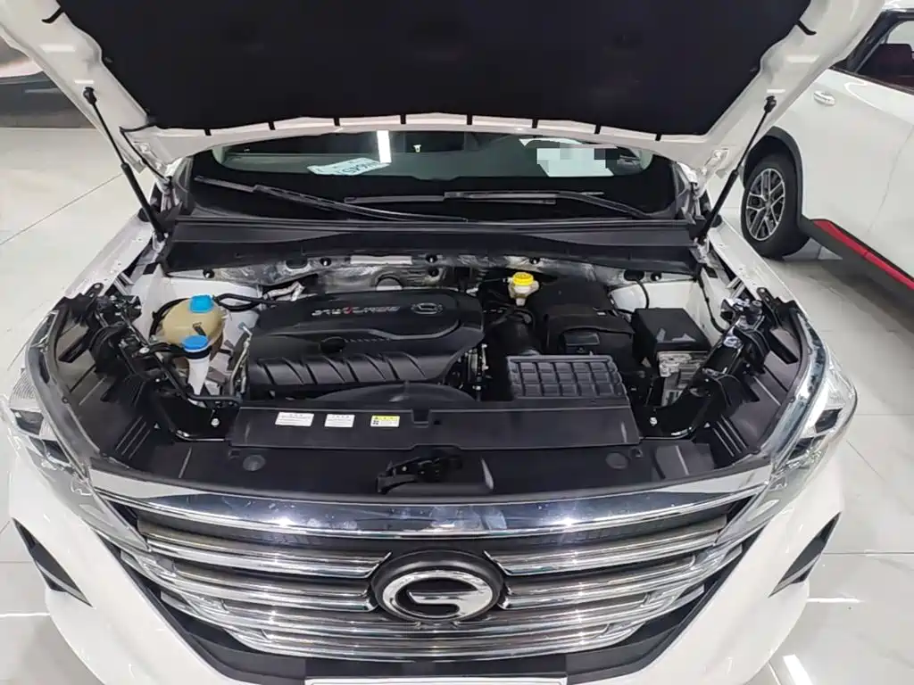 GAC Trumpchi Trumpchi GS5 2021 2021 Advanced 270T Tech Zhiling Edition