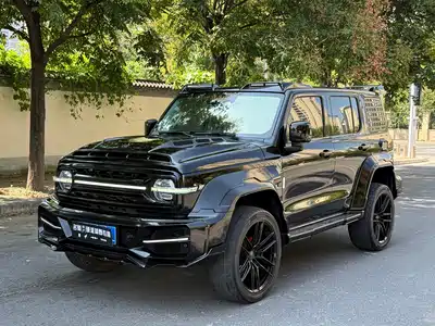 Tank 300