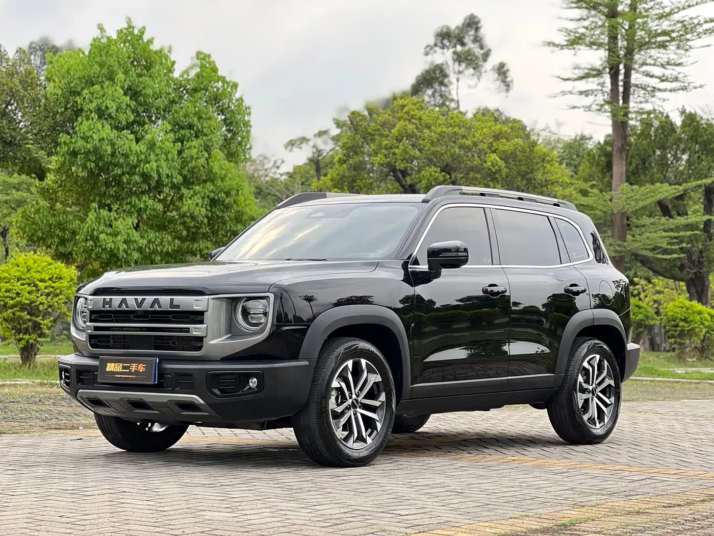 Haval Big Dog 2024 1.5T DCT Border Collie Edition