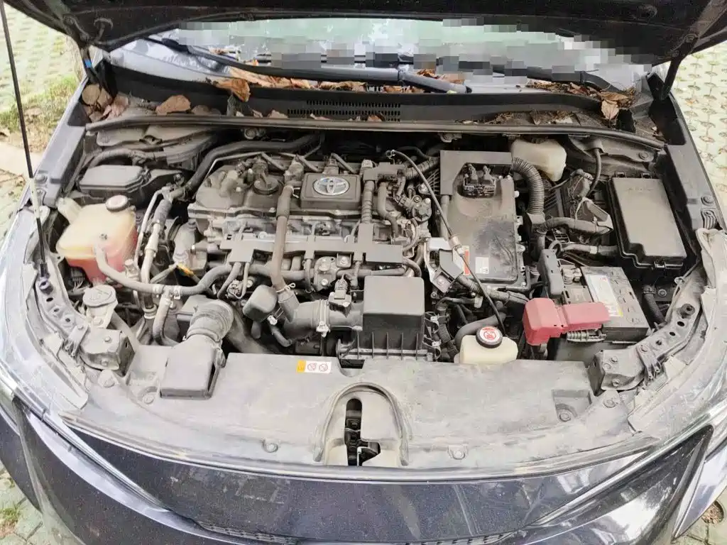 Фото 3 - Toyota Levin