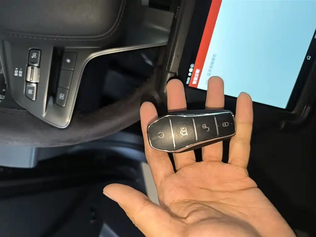 BYD Qin PLUS 2025 DM-i Smart Drive 55KM Leader фото 9