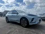 Фото 2 - Buick E5