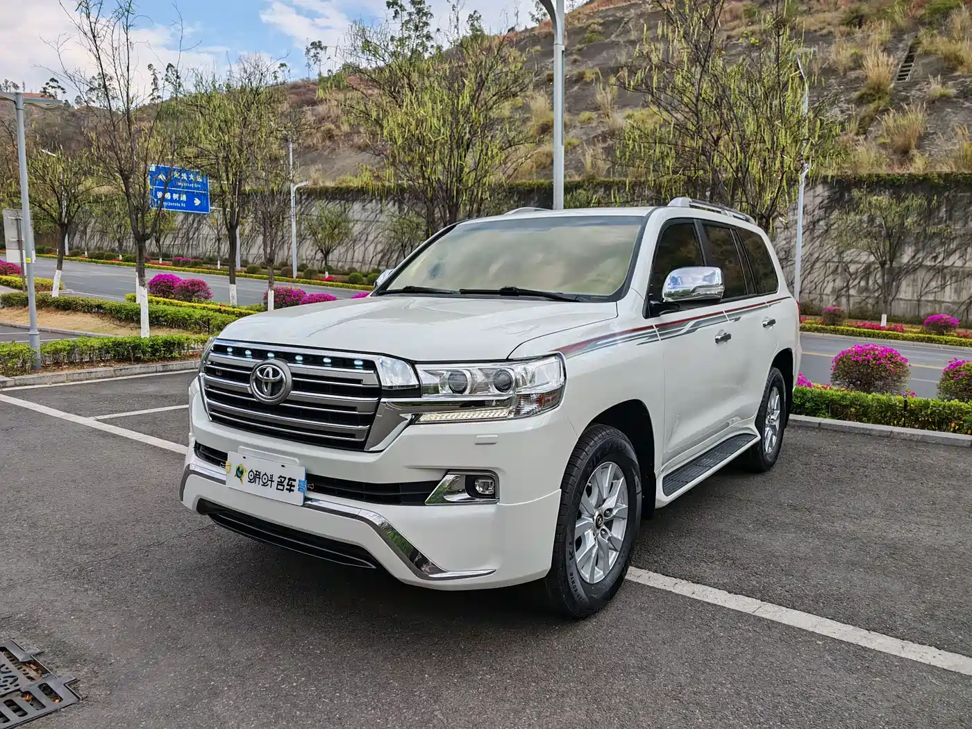 Toyota Land Cruiser (Import)