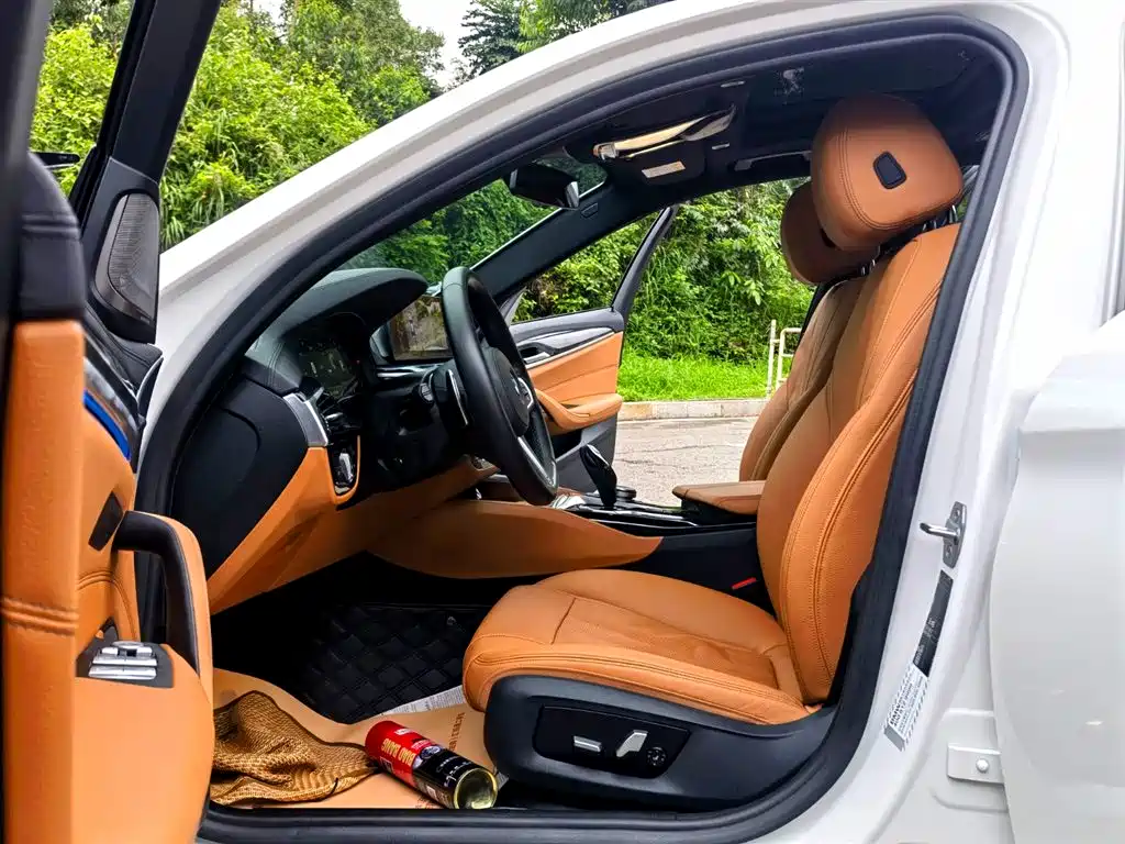 BMW 5 Series 2019 Facelift 530Li Premium M Sport Package фото 9