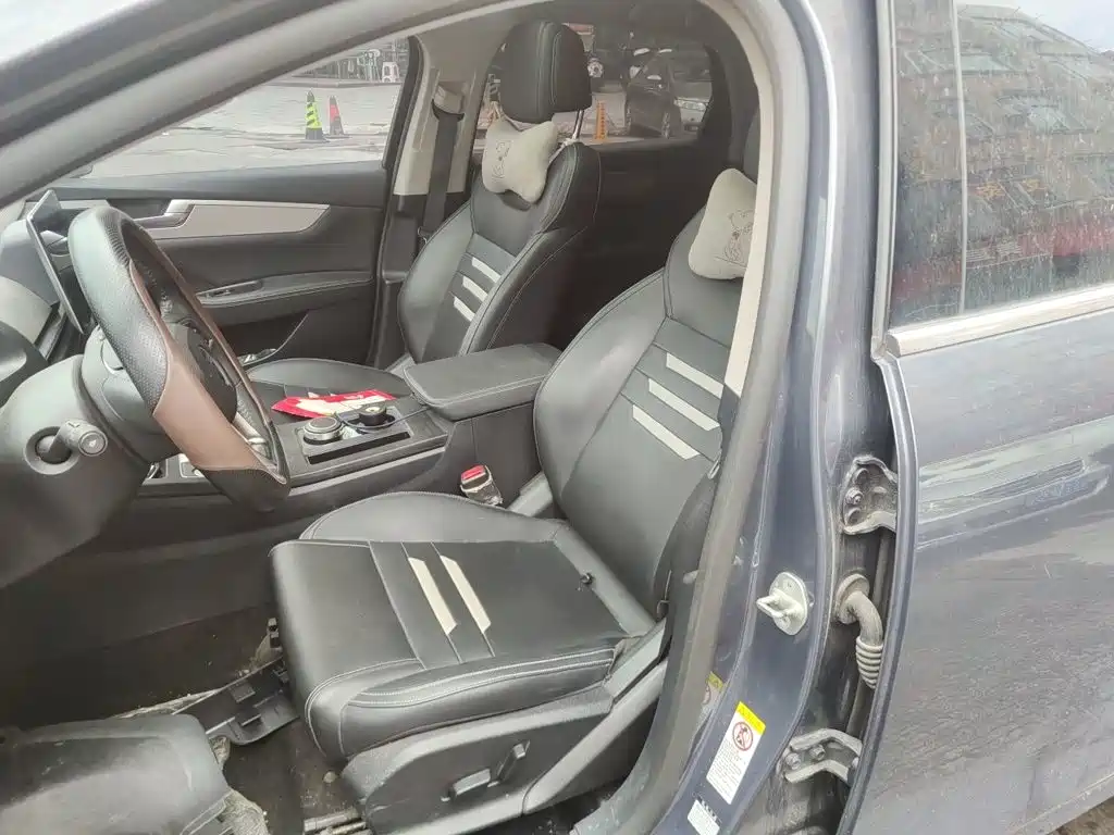 BYD Qin Pro 2021 2020 Surpass Edition 1.5TI Automatic Flagship