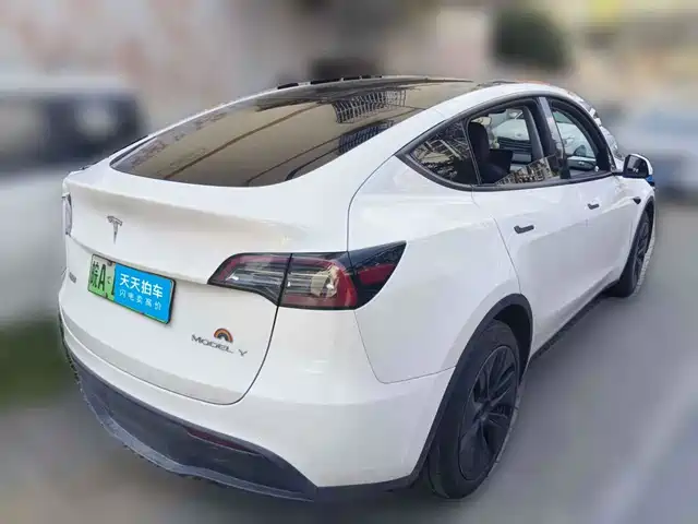 Tesla Model Y 2024 Rear-Wheel Drive Version — фото 2