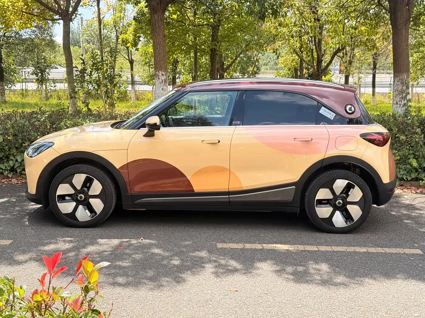 smart Elf #1 2025 2026 Agile New Luxury Edition