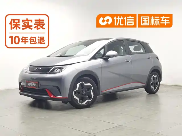 BYD Dolphin 2021 Model 405km Fashion Edition — фото 1
