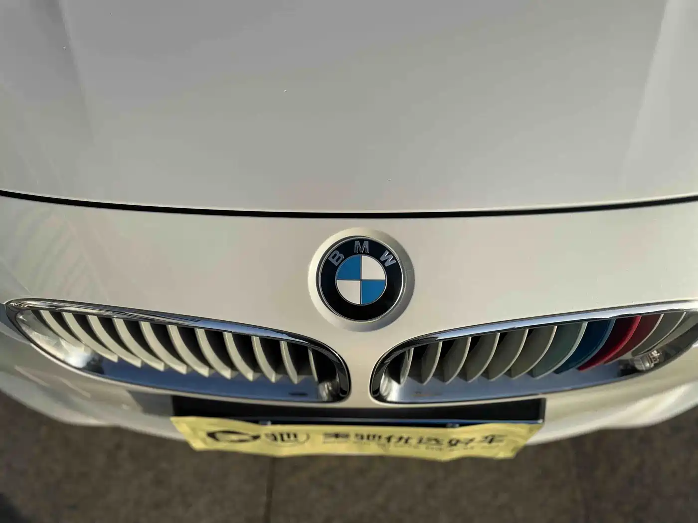 BMW 3 Series 2019 320Li Fashion Type фото 21