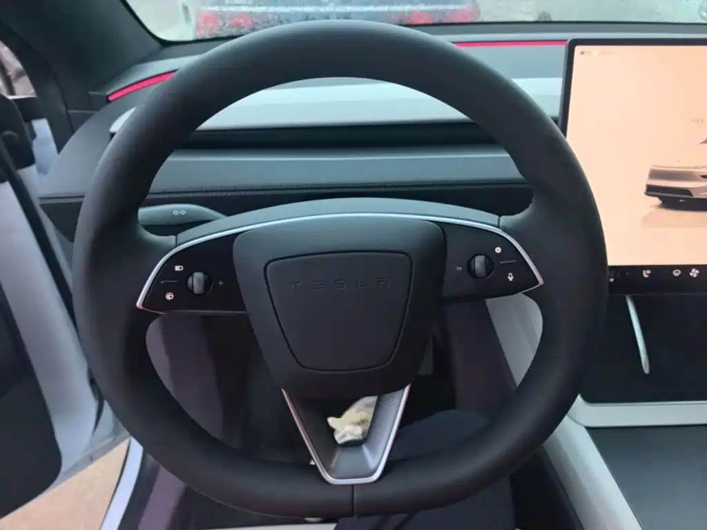 Фото 11 - Tesla Model Y L
