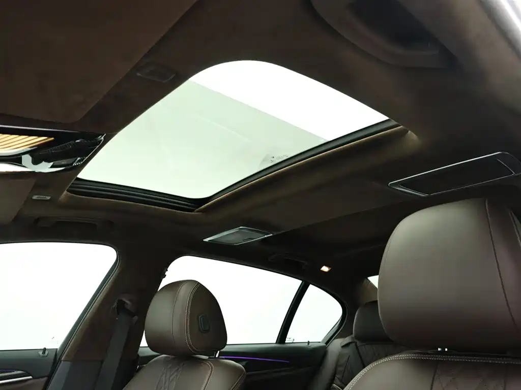 BMW 5 Series 2018 530Li Leading Luxury Package фото 13