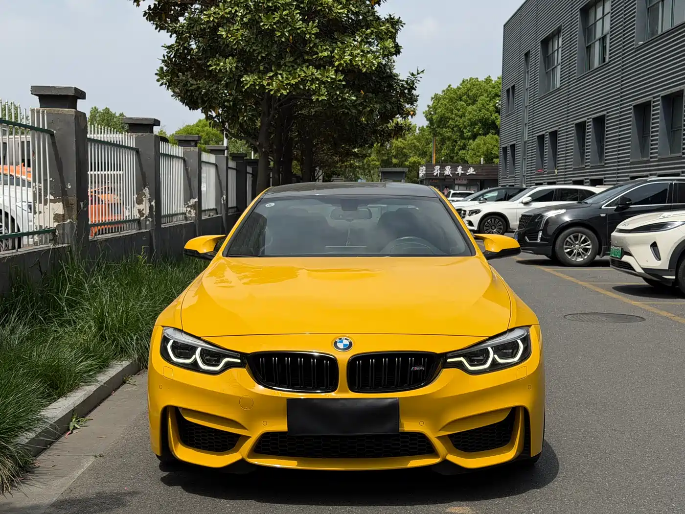 BMW M4 2017 M4 Coupe Fans Limited Edition фото 2