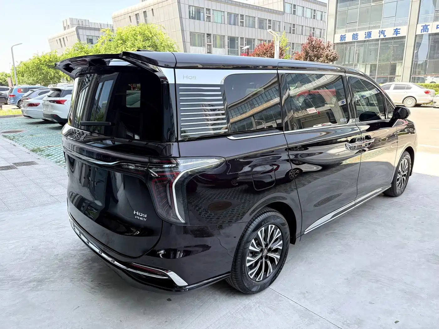 Hongqi HQ9 PHEV 2024 2024 Model 2.0T AWD Luxury Edition